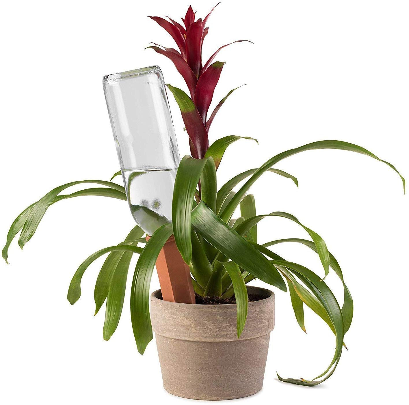 Terracotta Self-Watering Plant Stakes (4-Pack) – Automatic Watering Spikes for Indoor & Outdoor Plants